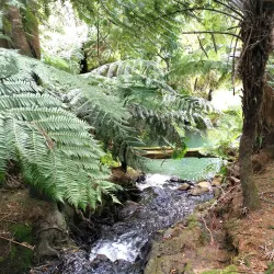 Waihi Gardens - Waihi