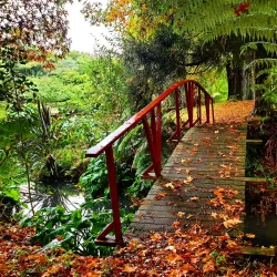 Waihi Gardens - Waihi