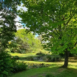 Waihi Gardens - Waihi