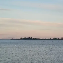 Waihi Historic Village - Waihi