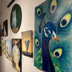 Waihi Museum - Waihi