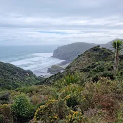 Anawhata Beach - Waitakere