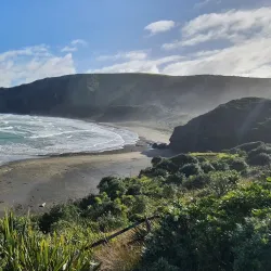 Bethells Beach (Te Henga) - Waitakere
