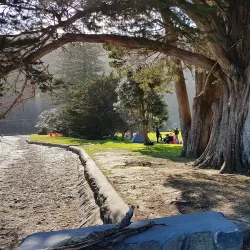 Huia Domain - Waitakere