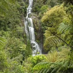Kitekite Falls - Waitakere