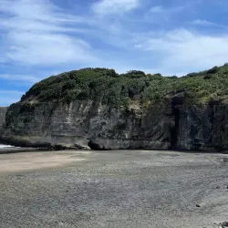 Muriwai Beach and Gannet Colony - Waitakere