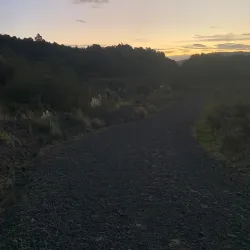 Waitakere Quarry Park - Waitakere