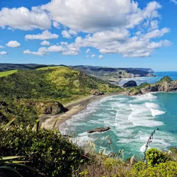Waitakere Ranges Regional Park - Waitakere