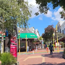 Cuba Street - Wellington