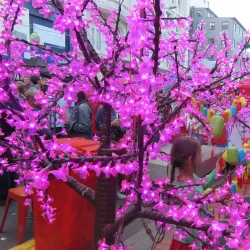Cuba Street - Wellington