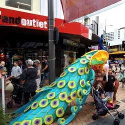 Cuba Street - Wellington