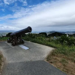 Mount Victoria Lookout - Wellington