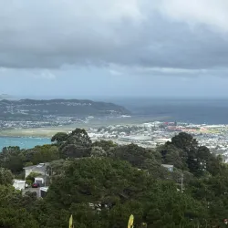 Mount Victoria Lookout - Wellington