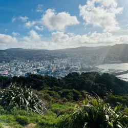 Mount Victoria Lookout - Wellington