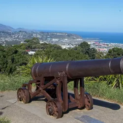 Mount Victoria Lookout - Wellington