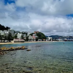 Oriental Bay - Wellington