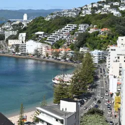Oriental Bay - Wellington