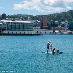 Oriental Bay - Wellington