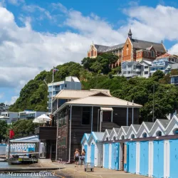 Oriental Bay - Wellington
