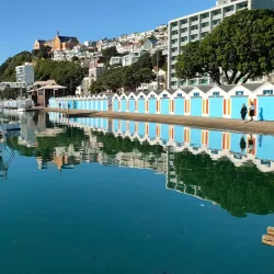 Oriental Bay - Wellington