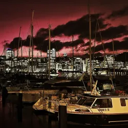 Oriental Bay - Wellington