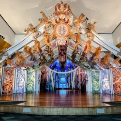 Te Papa Tongarewa (Museum of New Zealand) - Wellington