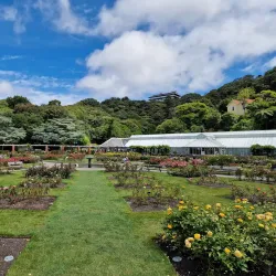 Wellington Botanic Garden - Wellington