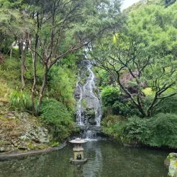 Wellington Botanic Garden - Wellington