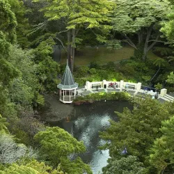 Wellington Botanic Garden - Wellington