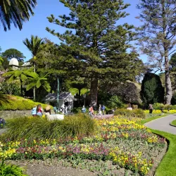 Wellington Botanic Garden - Wellington