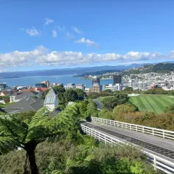 Wellington Botanic Garden - Wellington