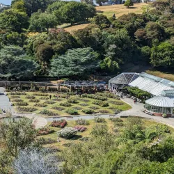 Wellington Botanic Garden - Wellington