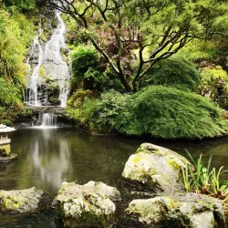 Wellington Botanic Garden - Wellington