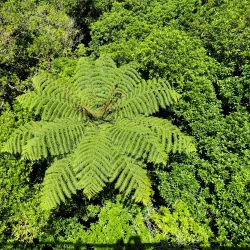 Zealandia Ecosanctuary - Wellington