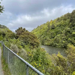 Zealandia Ecosanctuary - Wellington