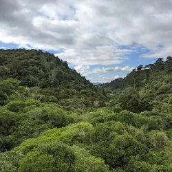 Zealandia Ecosanctuary - Wellington