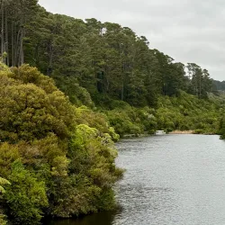 Zealandia Ecosanctuary - Wellington