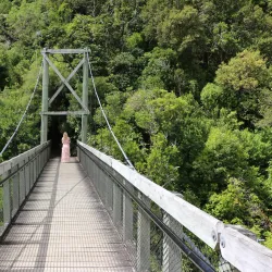 Zealandia Ecosanctuary - Wellington