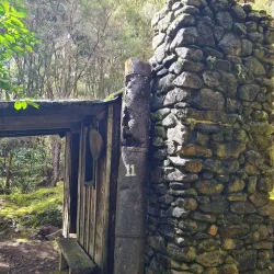 Buller Gorge Swingbridge - Westport