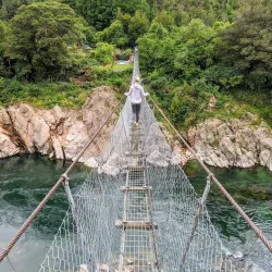 Buller Gorge Swingbridge - Westport