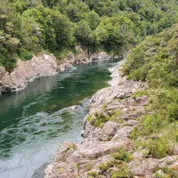 Buller Gorge Swingbridge - Westport