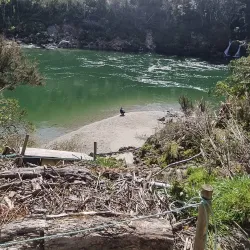 Buller Gorge Swingbridge - Westport