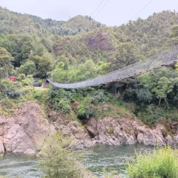 Buller Gorge Swingbridge - Westport