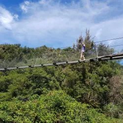 Buller Gorge Swingbridge - Westport