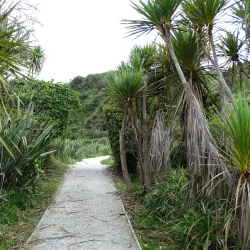 Cape Foulwind Walkway - Westport