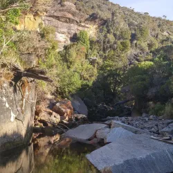 Denniston Plateau - Westport