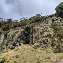 Denniston Plateau - Westport