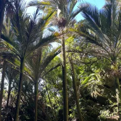 Pancake Rocks and Blowholes - Westport