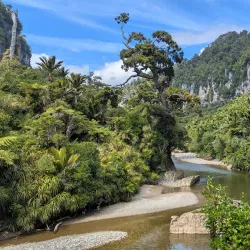 Paparoa National Park - Westport