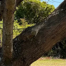 Westport Golf Club - Westport